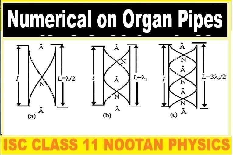 Numerical on Organ Pipes Class-11 Nootan ISC Physics Solutions Ch-28