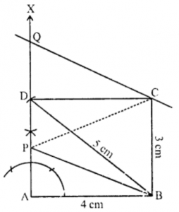 Que-6: (a) Draw a rectangle ABCD with base 4 cm and diagonal BD = 5 cm. Measure CB. Take any point P on AD. Join BP. From C draw a line parallel to BP to meet AP produced at Q. (b) What type of quadrilateral is PBCQ? (c) Prove that the area of the rectangle ABCD is equal to that of the figure PBCQ. (d) Prove that the area of the triangle PBC is half the area of the rectangle ABCD.