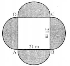 Que-20: A bed of roses is like in the figure. In the centre is a square and on each side there is semi-circle. Side of the square is 21 m. If each rose-plant needs 6 m2 of space, find out the number of plants which can be planted in the whole figure.