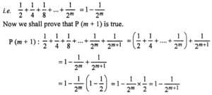 Que-14: (1/2) + (1/4) + (1/8) + … + (1/2^n) = 1 − (1/2^n).