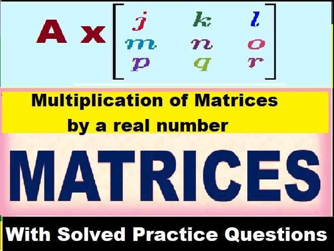 Matrices Exe- 9B Concise Class-10 ICSE Maths Selina Solution Ch-9