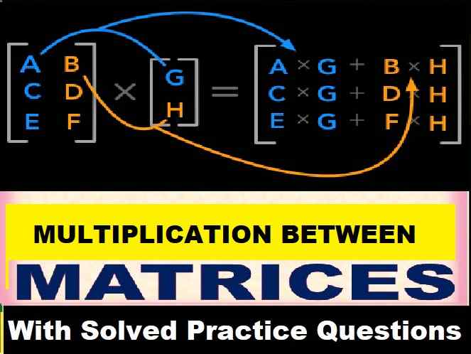 Matrices Exe- 9C Concise Class-10 ICSE Maths Selina Solution Ch-9