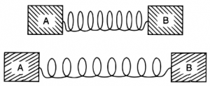 Que-10: A horizontal spring with two object A and B attached to its ends are shown in the figure below. If the spring is compressed, it ............... each object and if it is stretched, it ............... each object.