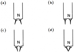 Que-14: The figure given below shows two iron nails attached to the end of a magnet. Choose the correct figure: