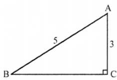 Que-2: If sin θ = 3/5 and θ is an acute angle, find (i) cos θ, (ii) tan θ.