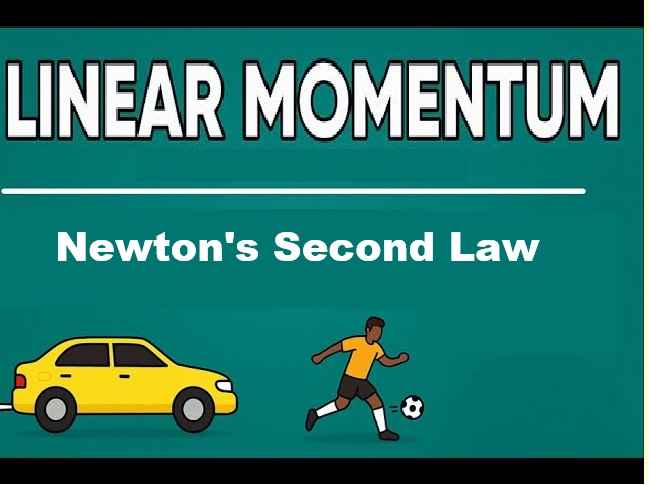 Laws of Motion Exe-3C MCQs Concise Physics ICSE Selina Solutions