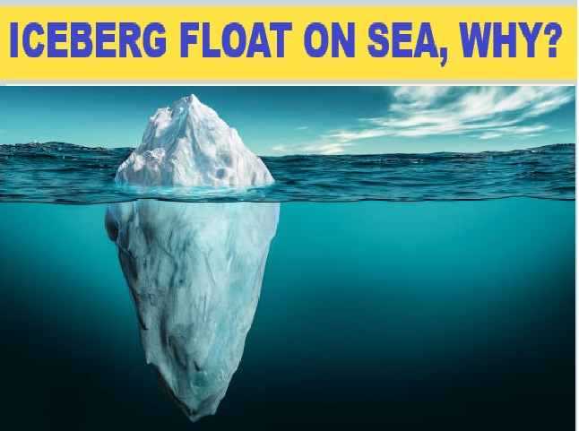 Upthrust in Fluids Archimedes Principle and Floatation Class-9 Exe-5C MCQs Concise Physics ICSE Selina Solutions