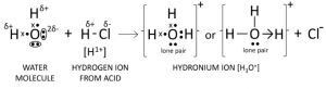 Que-1: Draw the structure of the stable positive ion formed when an acid dissolves in water.