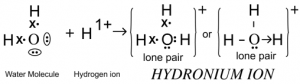  Draw an electron dot diagram for the formation of each of the following : (i) Hydronium ion,