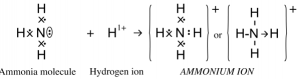(ii) Ammonium ion, 