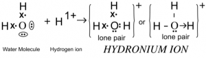Que-8: Draw an electron dot diagram of hydronium ion. State the type of bonding present in it.