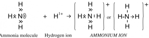 Que-9: By drawing an electron dot diagram, show the lone pair effect leading to the formation of — ammonium ion from ammonia gas and hydrogen ion.