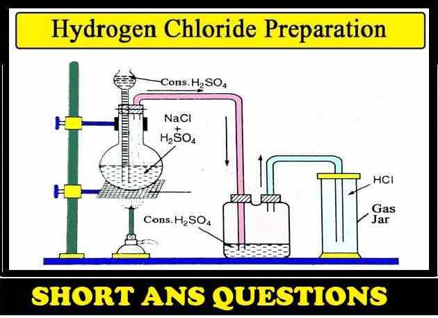 Hydrogen Chloride Short Ans Concise Class-10 ICSE Chemistry Selina Solutions