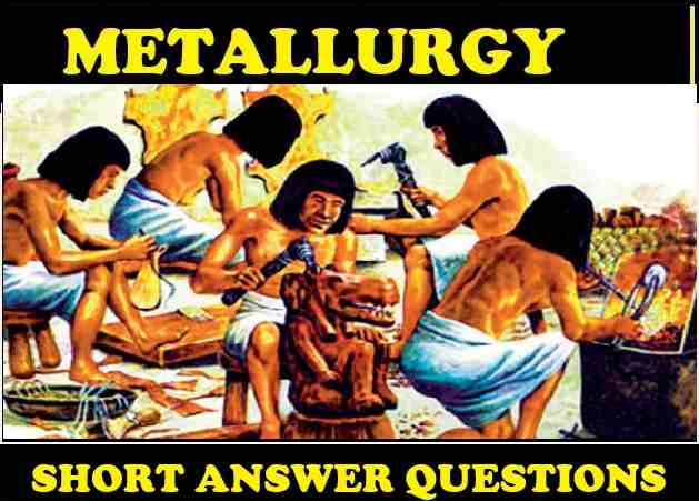 Metallurgy Short Ans Concise Class-10 ICSE Chemistry Selina Solutions