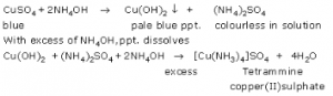 What happens when ammonia solution is added first drop wise and then in excess to the following solutions: (i) CuSO4