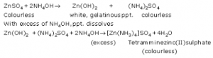 What happens when ammonia solution is added first drop wise and then in excess to the following solutions: (i) CuSO4 (ii)ZnSO4 (