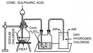 Draw a labelled diagram for the laboratory preparation of hydrogen chloride gas and answer the following