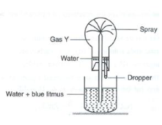 Study the given figure and answer the questions that follow: (i) Identify the gas Y. (ii) What property of gas Y does this experiment demonstrate? (iii). Name another gas which has the same property and can be demonstrated through this experiment.