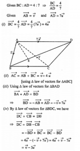 Section Formula for Internal and External Division in Vectors Class 12 ...
