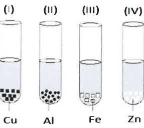 Que-5: A student takes Cu, Al, Fe and Zn strips, separately in four test tubes labeled as I, II, III and IV respectively. He adds 10 ml of freshly prepared ferrous sulphate solution to each test tube and observes the colour of the metal residue in each case.