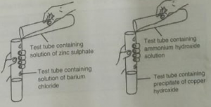 Que-12: A student was asked to perform two experiments in the laboratory based on the instructions given: