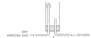 Que-8: In the following set up for burning ammonia in oxygen, ammonia tube is fitted higher and oxygen tube is kept lower because ?