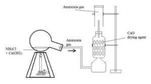 Que-12: The diagram below shows the setup for the laboratory preparation of a pungent alkaline gas.