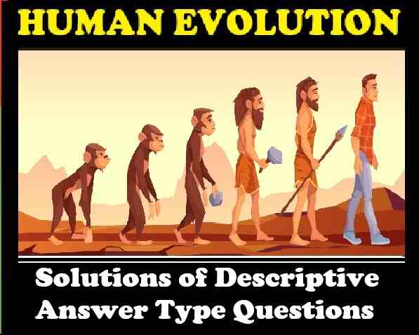 Descriptive Answer on Human Evolution Class 10 Concise ICSE Biology Selina Solutions