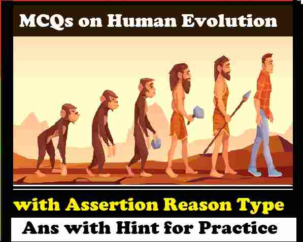 MCQs on Human Evolution Class 10 Concise ICSE Biology Selina Solutions