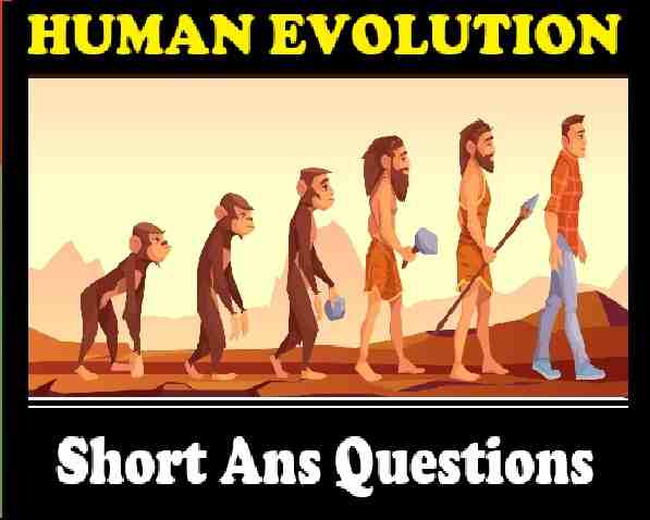 Quad - GreenSock Documentation visual data 5