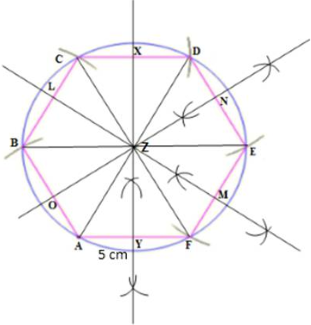 Construct a regular hexagon of side 5 cm. Hence construct all its lines of symmetry and name them. (2016) 