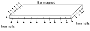 Que-2: Describe an experiment to show that the maximum attractive property is at the poles of a magnet.