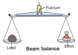 Que-3: Draw diagrams to illustrate the positions of fulcrum, load and effort, in each of the following : (i) a see-saw (ii) a beam balance (iii) a nut cracker (iv) a pair of forceps