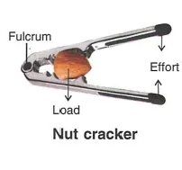 Que-3: Draw diagrams to illustrate the positions of fulcrum, load and effort, in each of the following : (i) a see-saw (ii) a beam balance (iii) a nut cracker (iv) a pair of forceps