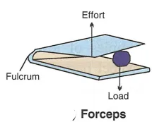 Que-3: Draw diagrams to illustrate the positions of fulcrum, load and effort, in each of the following : (i) a see-saw (ii) a beam balance (iii) a nut cracker (iv) a pair of forceps