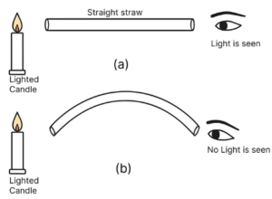 Describe an experiment to show that light travels in a straight line path.