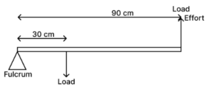 Que-5: In a lever, fulcrum is at one end at a distance of 30 cm from the load and effort is at the other end at a distance of 90 cm from the load. Find : (i) the length of load arm, (ii) the length of effort arm, and (iii) the mechanical advantage of the lever.