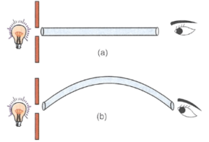 Que-16: In which of the following two arrangements (a) and (b) shown in figure below, you can see the light of the bulb? Explain your answer.