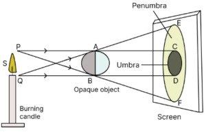Draw a ray diagram to show the formation of umbra and penumbra both. Label the parts umbra and penumbra in your diagram.