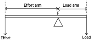 Que-2: Describe three orders of levers giving an example of each. Draw neat diagrams showing the positions of fulcrum, load and effort in each kind of lever.