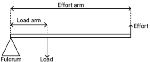 Que-2: Describe three orders of levers giving an example of each. Draw neat diagrams showing the positions of fulcrum, load and effort in each kind of lever.