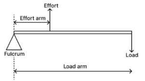 Describe three orders of levers giving an example of each. Draw neat diagrams showing the positions of fulcrum, load and effort in each kind of lever.