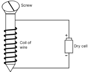 Que-9: You are given an iron nail, a torch cell and a long piece of insulated copper wire. With the help of a labelled neat diagram, describe in steps how you will make the nail, an electromagnet.