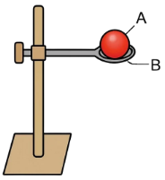 Look at the diagram given alongside and answer the questions that follow: (a) Label A and B. (b) What is the purpose of this experiment?        