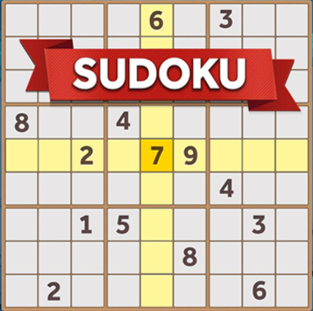 🎮 Top Logical Reasoning Games You Can Play at Home Sudoku