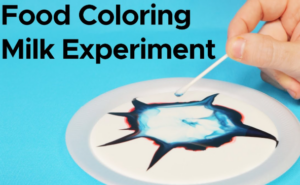 Milk and Food Coloring Magic 🥛