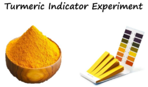 Homemade pH Indicator (Using Turmeric)