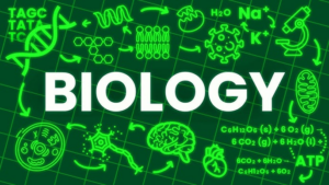 4. Biology (for PCB students)