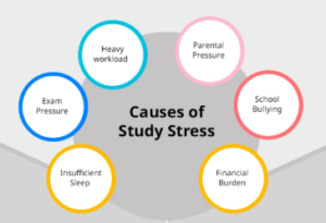 Causes of Stress and Anxiety in Competitive Exams