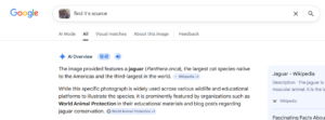 11. Reverse Image Search